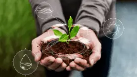 Curso Agroecologia com Certificado