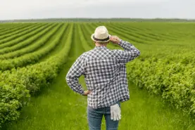 Curso agropecuaria certificado 
